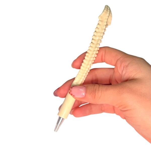 Lapiceros de Hueso - columna vertebral - Imagen 3