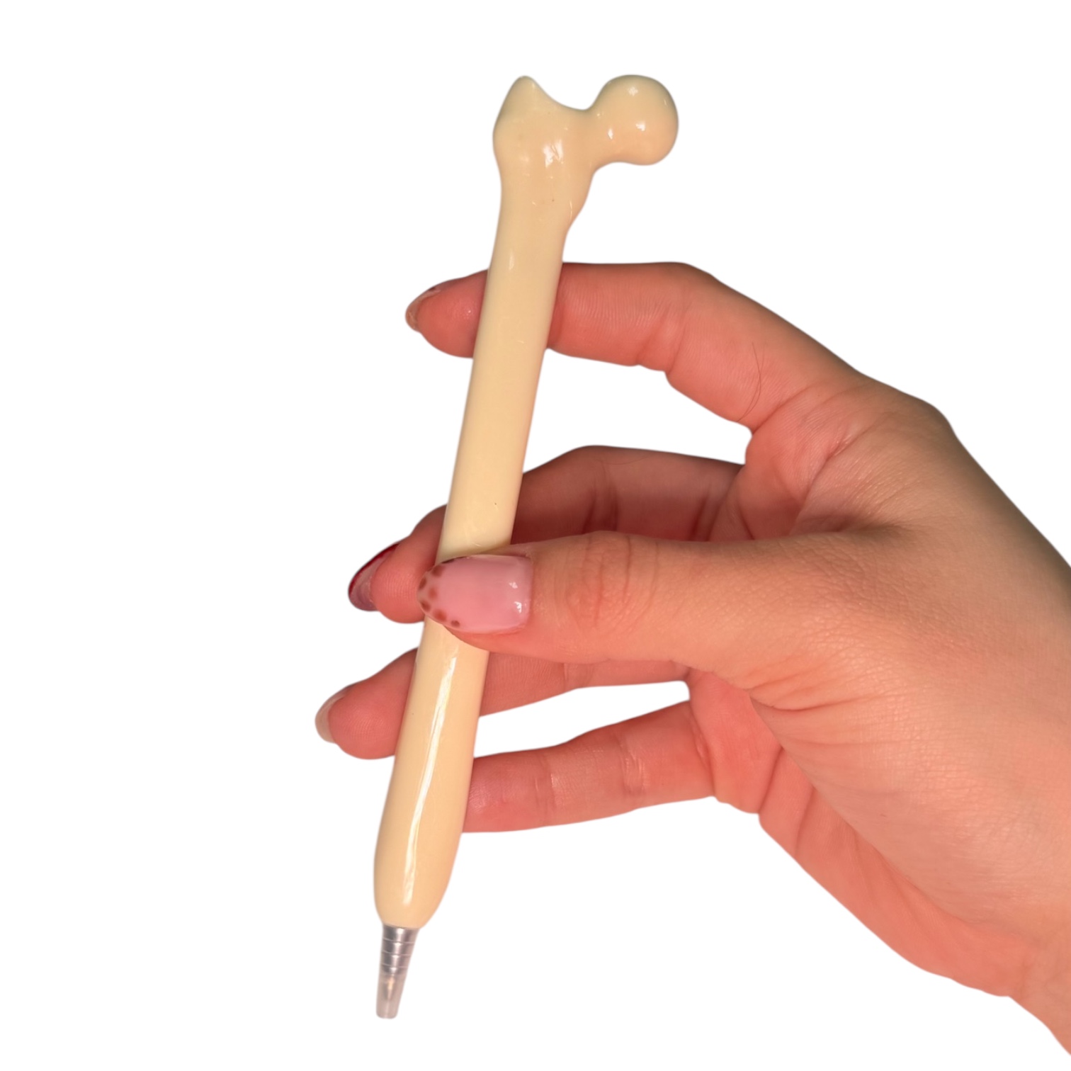Lapiceros de Hueso - femur - Imagen 2